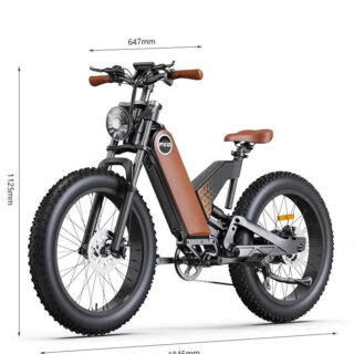 PXID P5 xe đạp điện bánh béo 24 inch