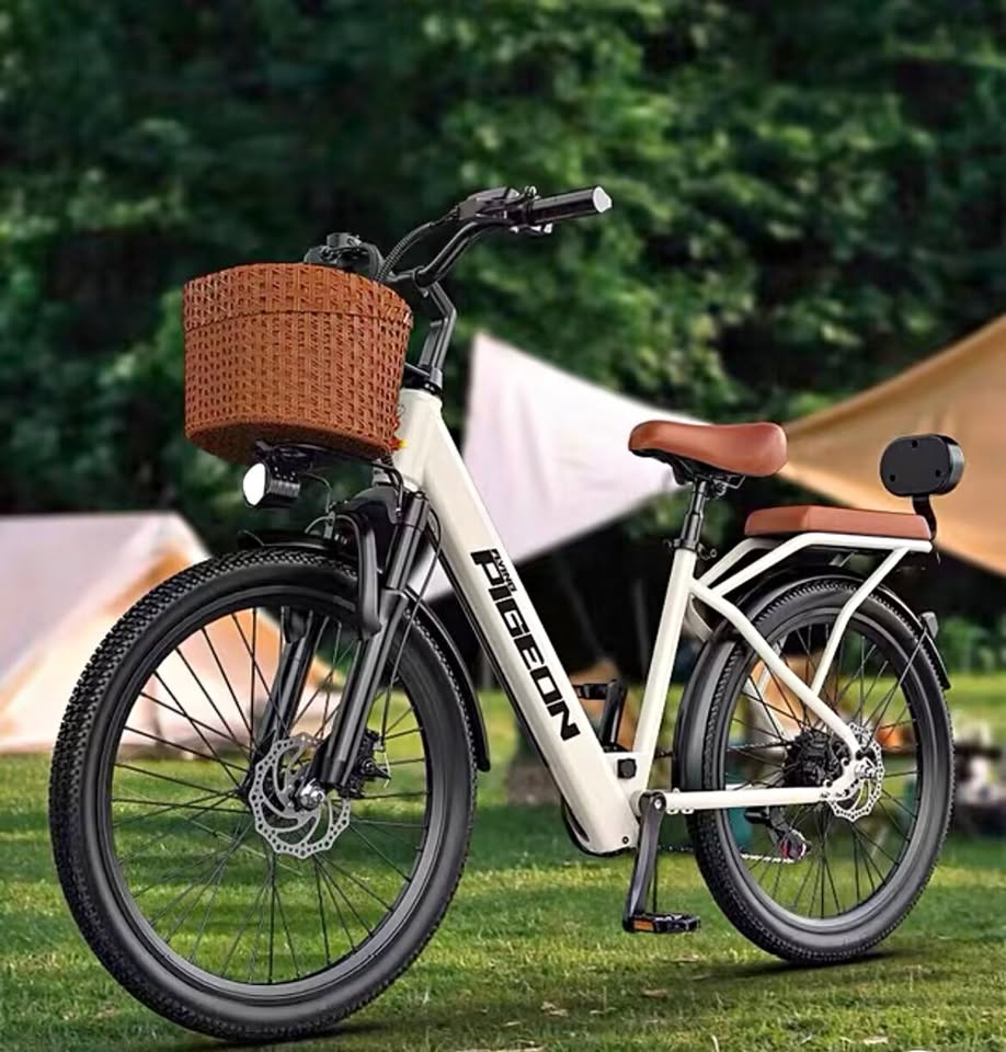 Xe đạp điện trợ lực