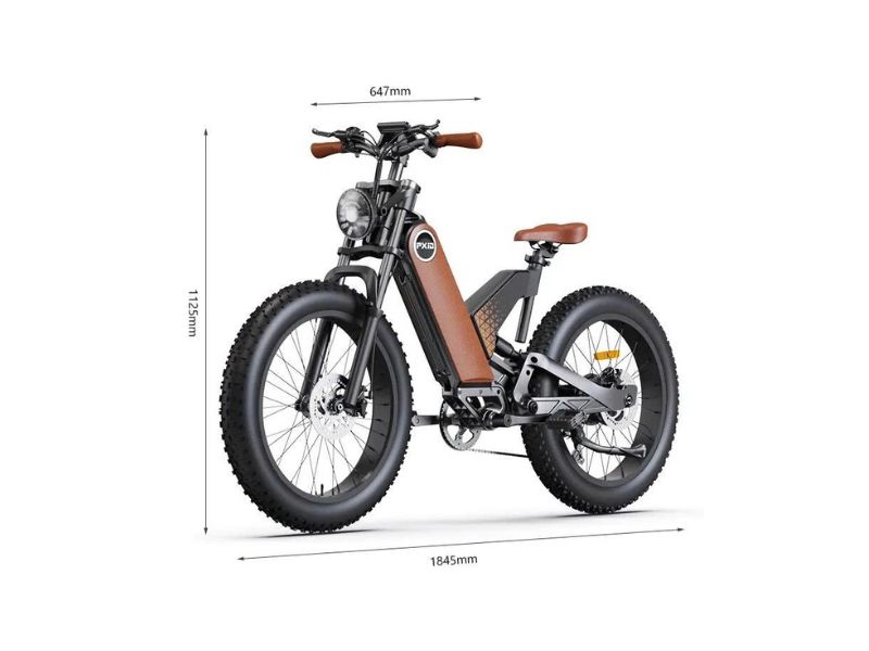 Xe đạp điện trợ lực