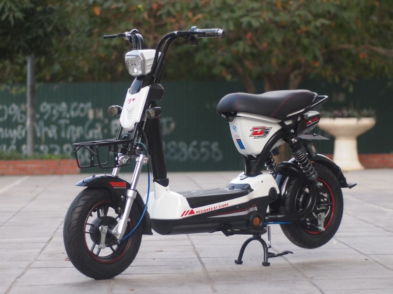 Xe điện thường và xe đạp điện trợ lực