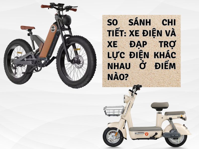 Xe điện thường và xe đạp điện trợ lực