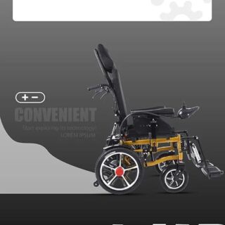 xe lăn điện đa năng 6005